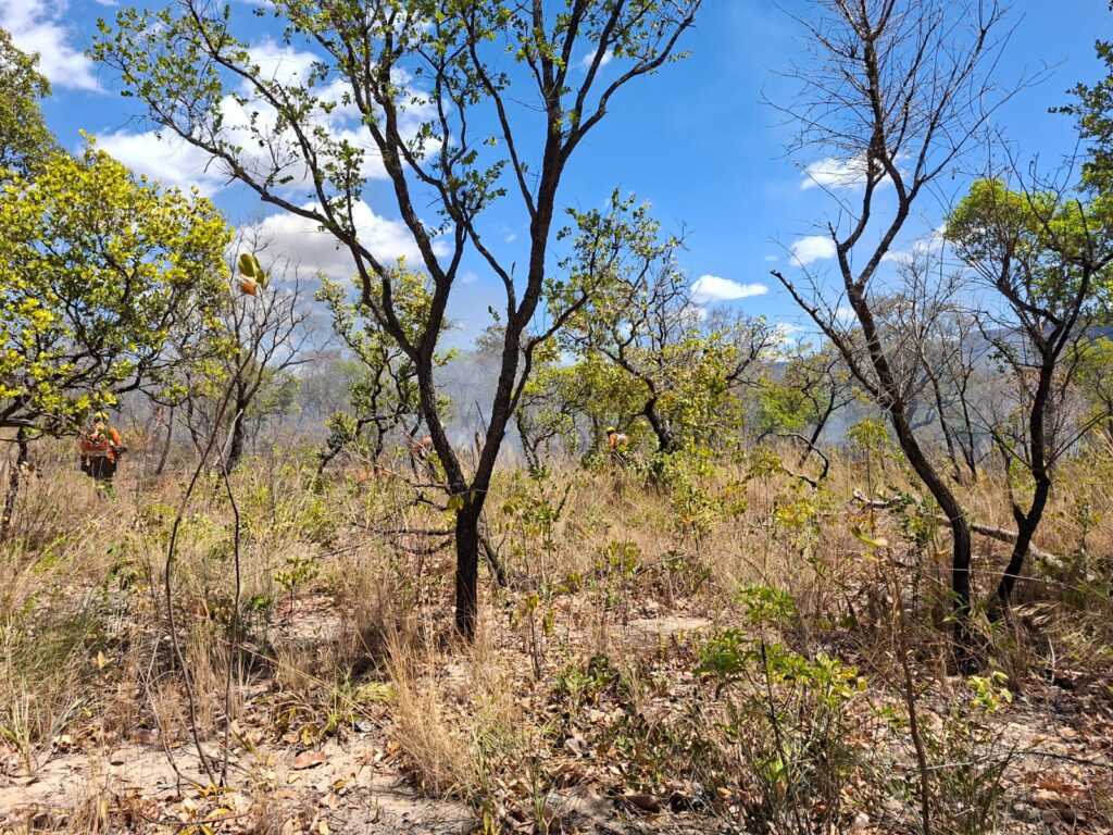 Incêndio em área próxima ao Parque Estadual Terra Ronca é controlado 2 WhatsApp Image 2025 08 24 at 17.12.04