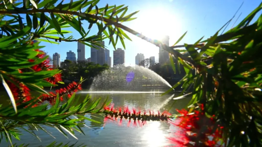 Prefeitura de Goiânia Reinaugura Fonte no Parque Vaca Brava 6 Prefeitura de Goiânia Reinaugura Fonte no Parque Vaca Brava
