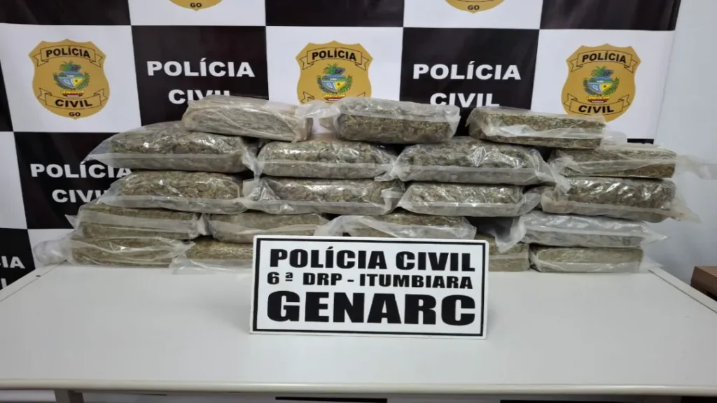 PCGO Apreende Carregamento de “Supermaconha” Avaliado em R$ 500 Mil em Itumbiara 1 PCGO apreende carregamento de “supermaconha” avaliado em R$ 500 mil em Itumbiara