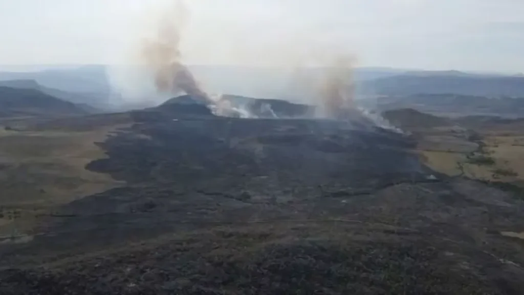 Incêndio atinge mais de 900 hectares na Chapada dos Veadeiros 3 Incêndio atinge mais de 900 hectares na Chapada dos Veadeiros