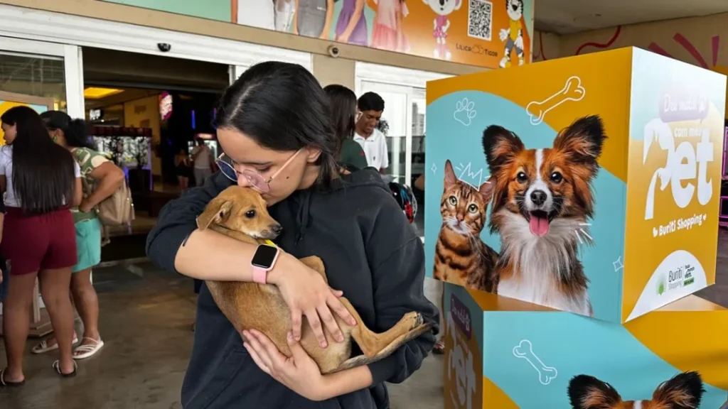 Quase 40 cães e gatos encontram novos lares em feira de adoção em Aparecida de Goiânia 11 Quase 40 cães e gatos encontram novos lares em feira de adoção em Aparecida de Goiânia