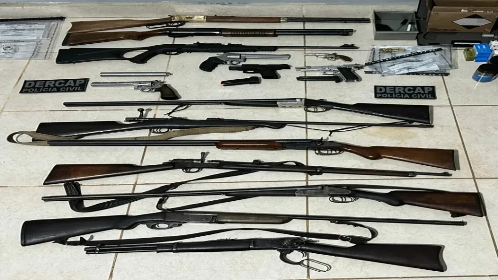 Operação da Polícia Civil apreende arsenal ilegal em Niquelândia 6 Operação da Polícia Civil apreende arsenal ilegal em Niquelândia