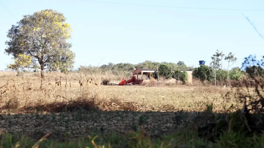 Fazendeiros contestam reconhecimento de área quilombola em Goiás 3 imagem 1 2025 09 08T085823.342