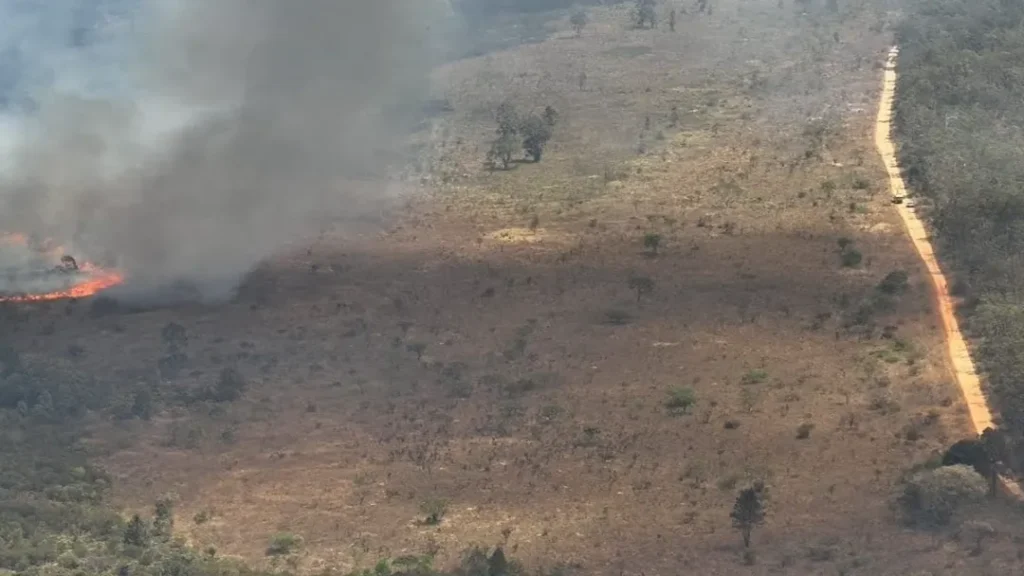 Incêndios atingem Floresta Nacional de Brasília pelo terceiro dia seguido 6 Incêndios atingem Floresta Nacional de Brasília pelo terceiro dia seguido