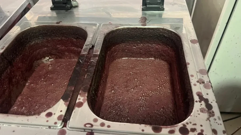 PCGO e Vigilância Sanitária interditam açaiteria em Goiânia por risco à saúde pública 10 PCGO e Vigilância Sanitária interditam açaiteria em Goiânia por risco à saúde pública