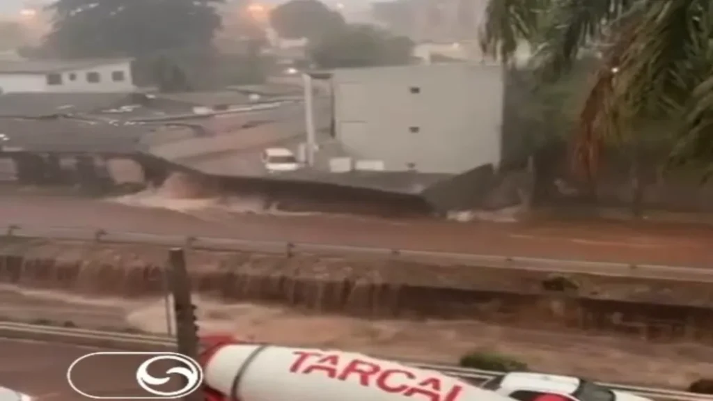 Goiânia enfrenta alagamentos e quedas de árvores após forte tempestade 7 Goiânia enfrenta alagamentos e quedas de árvores após forte tempestade