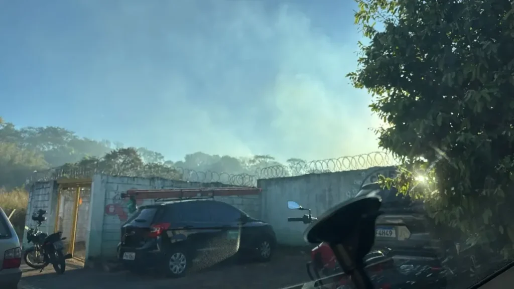 Incêndio atinge área de preservação ambiental próxima a CMEI em Goiânia 11 Incêndio atinge área de preservação ambiental próxima a CMEI em Goiânia
