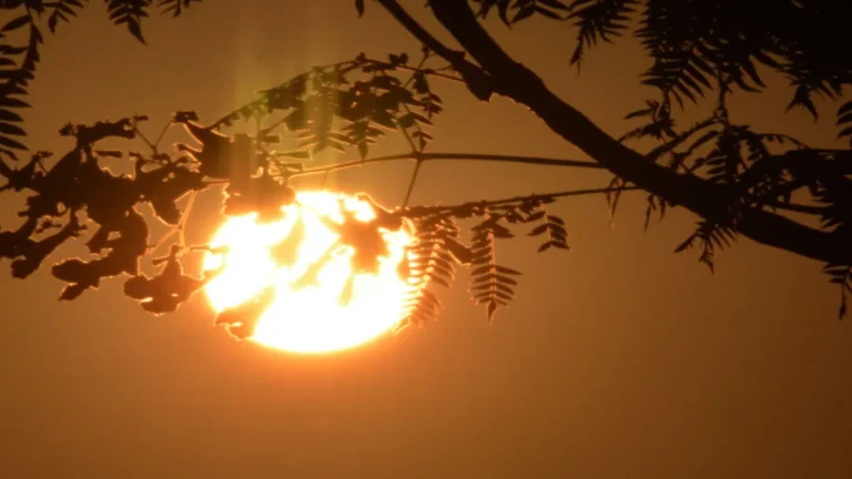 Goiás enfrenta onda de calor e temperaturas podem atingir 41 °C nesta terça-feira (9)