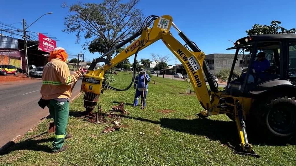 Serviço gratuito da Comurg ajuda a evitar rachaduras em calçadas e danos causados por raízes profundas 7 Serviço gratuito da Comurg ajuda a evitar rachaduras em calçadas e danos causados por raízes profundas