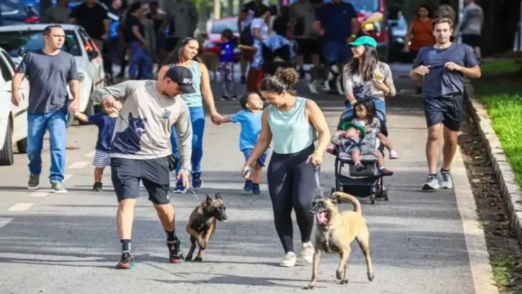 Goiânia recebe neste domingo (17) a Cãominhada da PMGO, com caminhada, corrida, atrações e ações sociais no entorno do Parque Areião 7 Goiânia recebe neste domingo (17) a Cãominhada da PMGO, com caminhada, corrida, atrações e ações sociais no entorno do Parque Areião