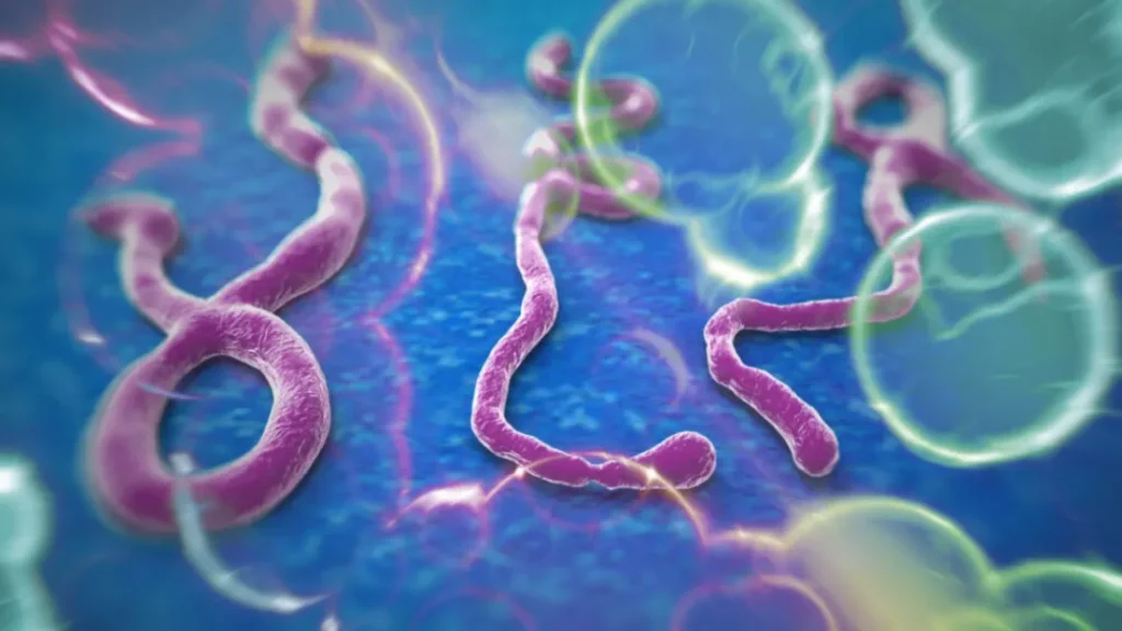 Casos suspeitos de ebola são monitorados em SP e RJ com exames em andamento 8 asos suspeitos de ebola são monitorados em SP e RJ com exames em andamento