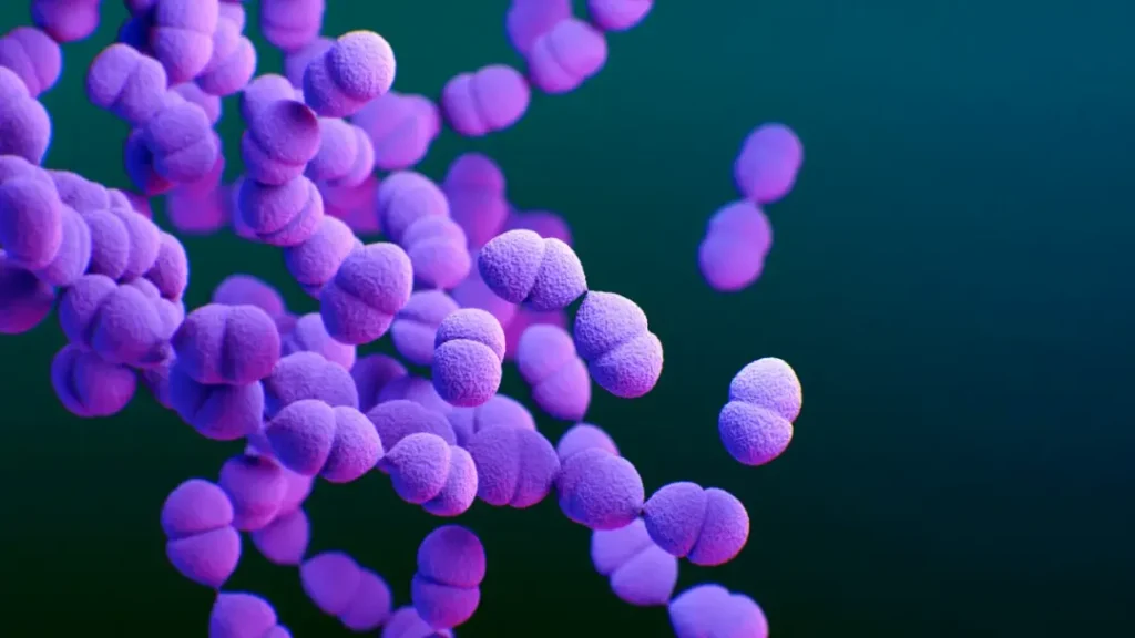 O SUS incorporou uma nova vacina que amplia a proteção contra pneumonia e meningite em crianças 9 O SUS incorporou uma nova vacina que amplia a proteção contra pneumonia e meningite em crianças