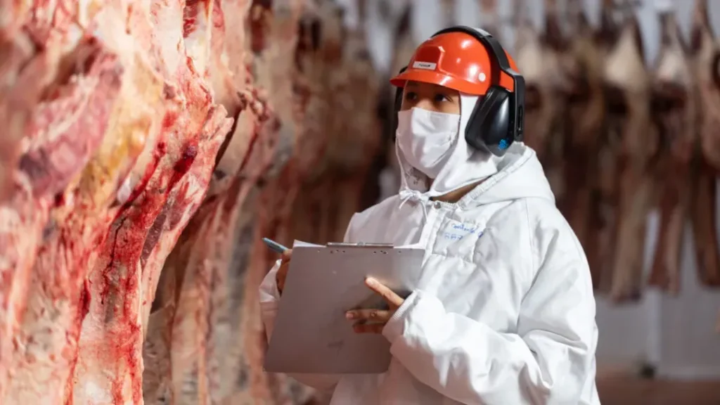 Brasil tenta reverter decisão da União Europeia que suspende importação de carne a partir de setembro 8 Brasil tenta reverter decisão da União Europeia que suspende importação de carne a partir de setembro