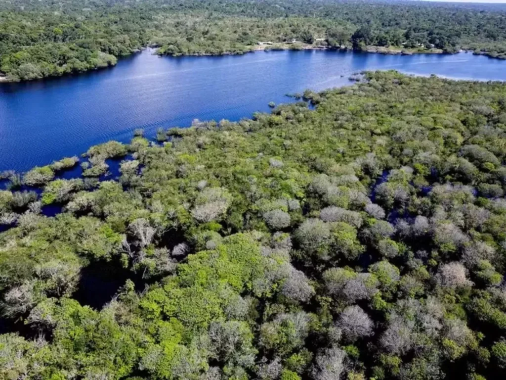 Senado reduz área protegida no Pará 8 Senado reduz área protegida no Pará