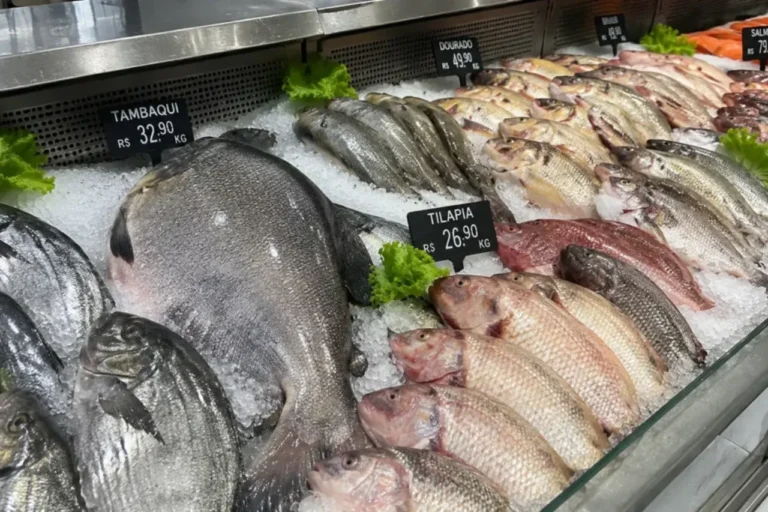 Peixe popular do Brasil está ameaçado