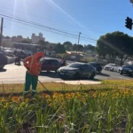 Comurg prepara solo para plantio de 40 mil mudas em Goiânia