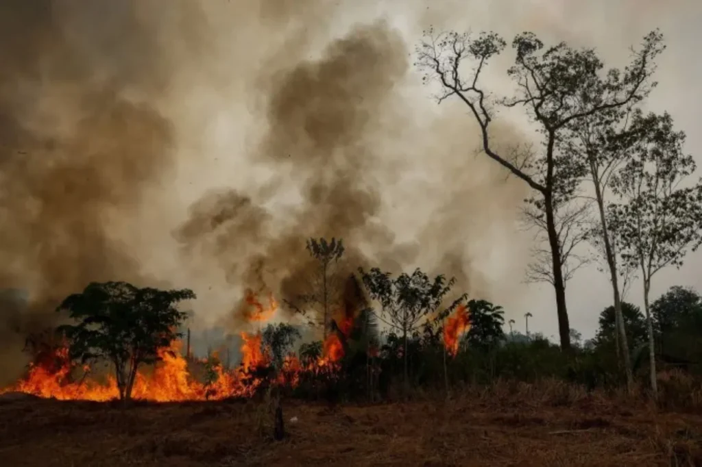 Ministro aponta incêndios criminosos no amazonas 8 Ministro aponta incêndios criminosos no amazonas