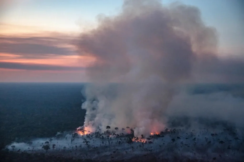 Queimadas no Amazonas sufocam cidades e levantam suspeita de incêndios criminosos 8 Queimadas no Amazonas sufocam cidades e levantam suspeita de incêndios criminosos