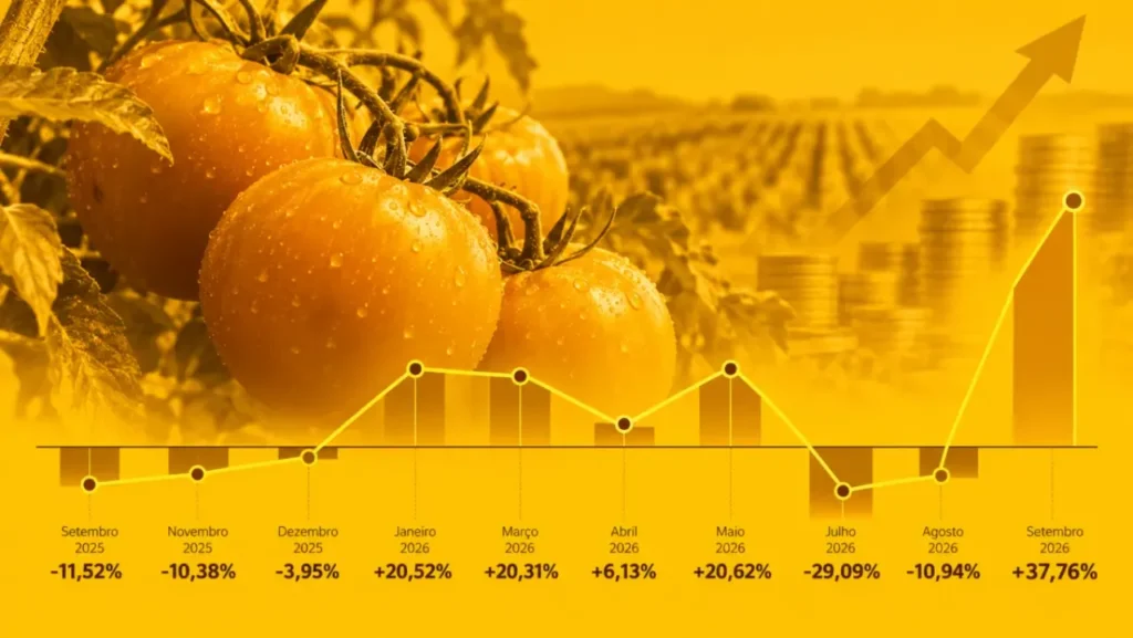 Tomate dispara de preço e surpreende consumidores em 2026 6 Tomate dispara de preço e surpreende consumidores em 2026